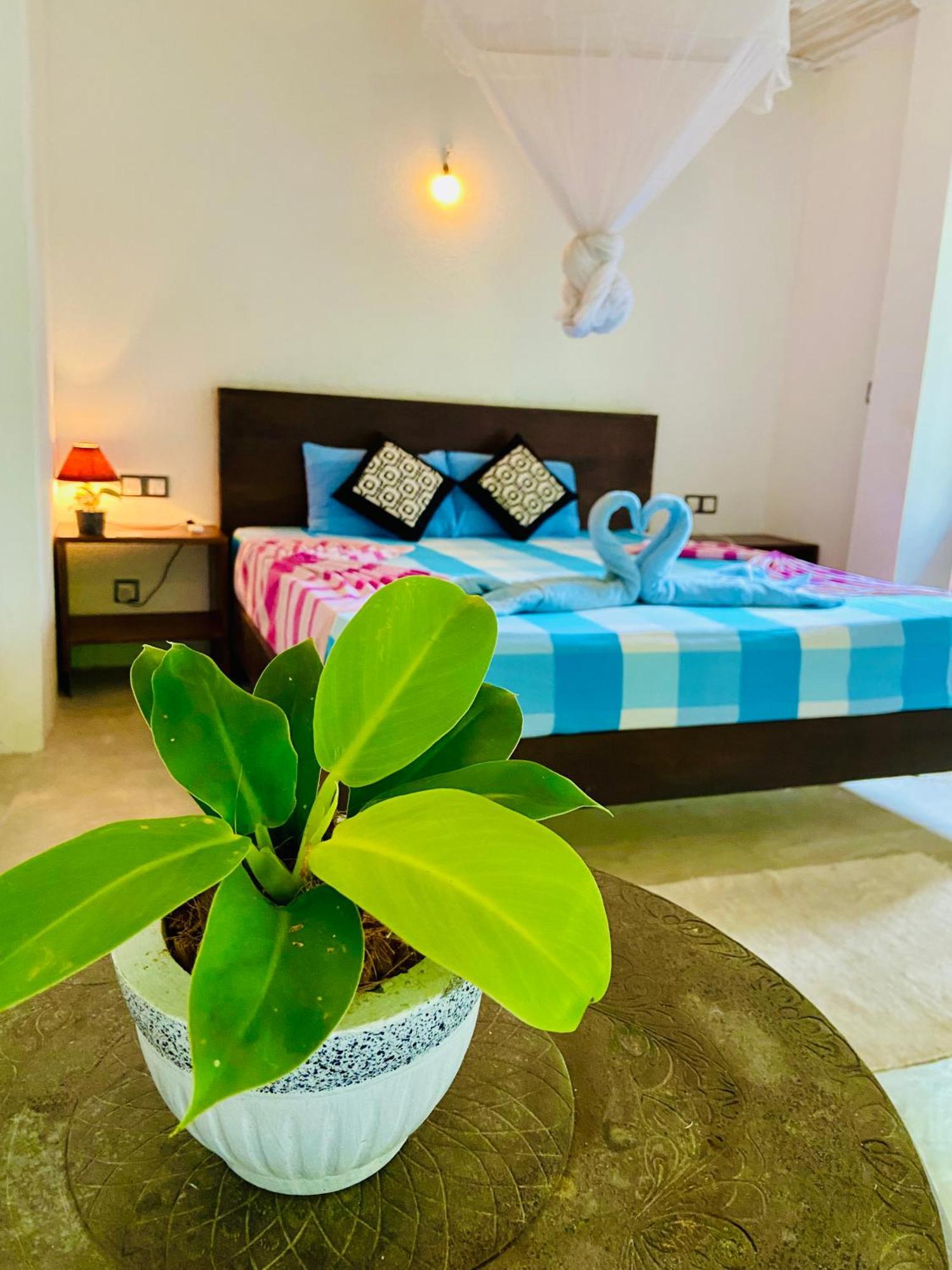 Mountain Seaview Cabanas Тангалла Экстерьер фото
